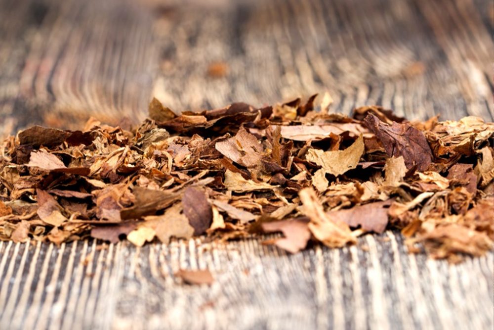 tobacco